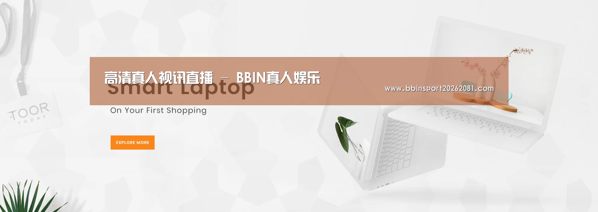 某某网络科技有限公司