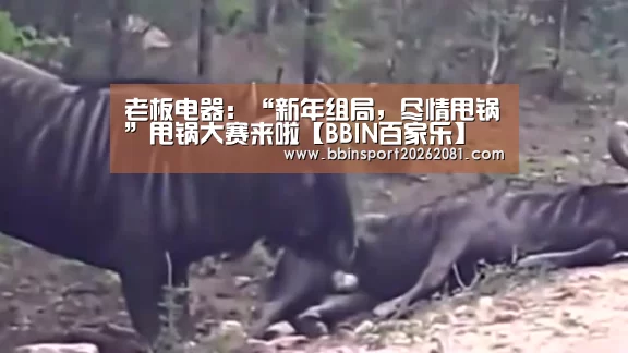 老板电器:“新年组局,尽情甩锅”甩锅大赛来啦【BBIN百家乐】(图1) BBIN百家乐