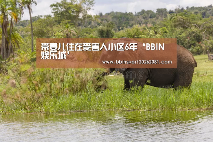 BBIN电竞