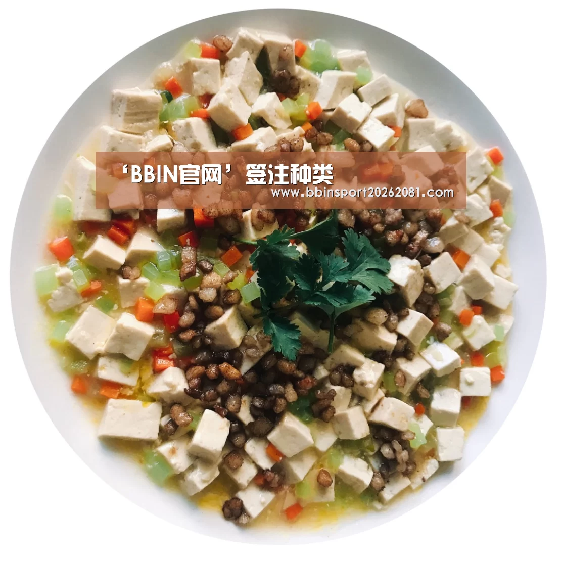 BBIN百家乐