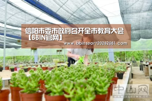 BBIN娱乐城