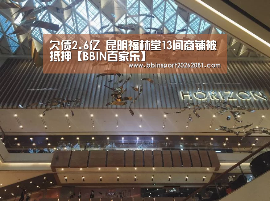 欠债2.6亿 昆明福林堂13间商铺被抵押【BBIN百家乐】(图2) BBIN百家乐
