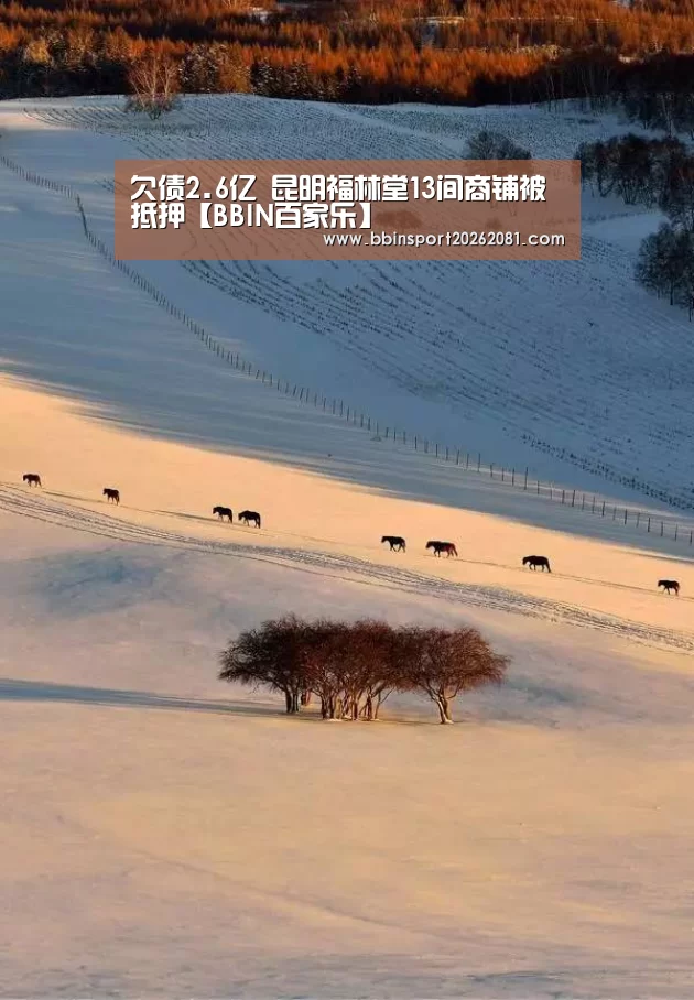 欠债2.6亿 昆明福林堂13间商铺被抵押【BBIN百家乐】(图3) BBIN百家乐