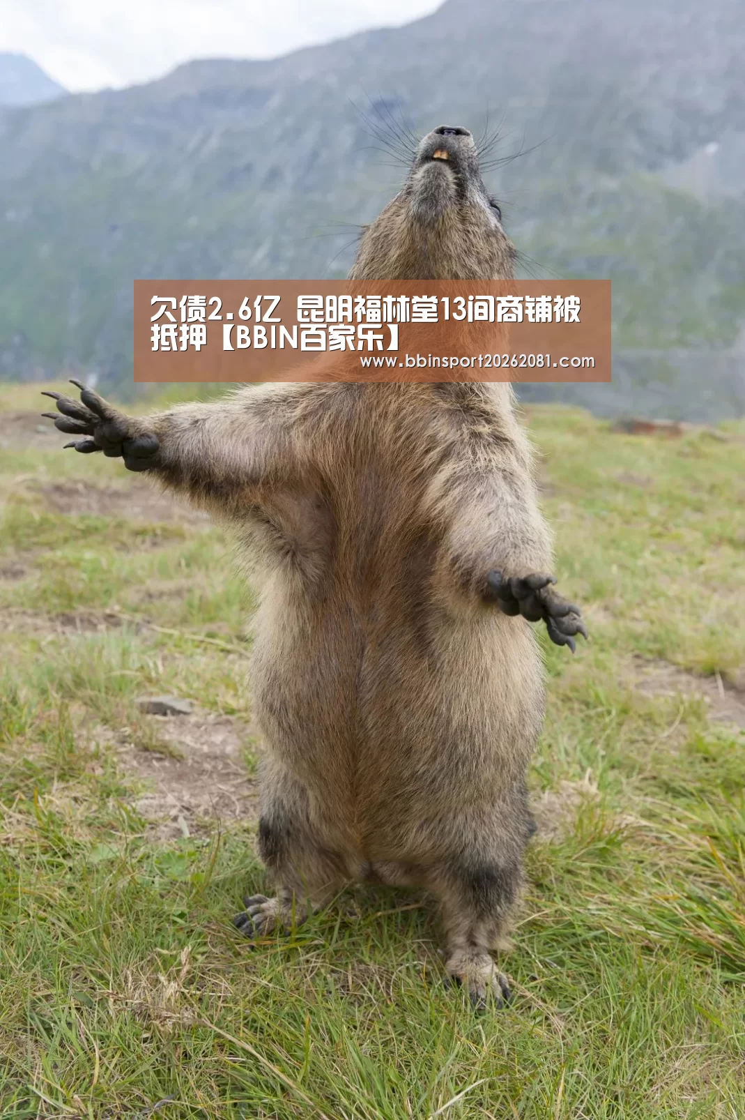 欠债2.6亿 昆明福林堂13间商铺被抵押【BBIN百家乐】(图1) BBIN电竞