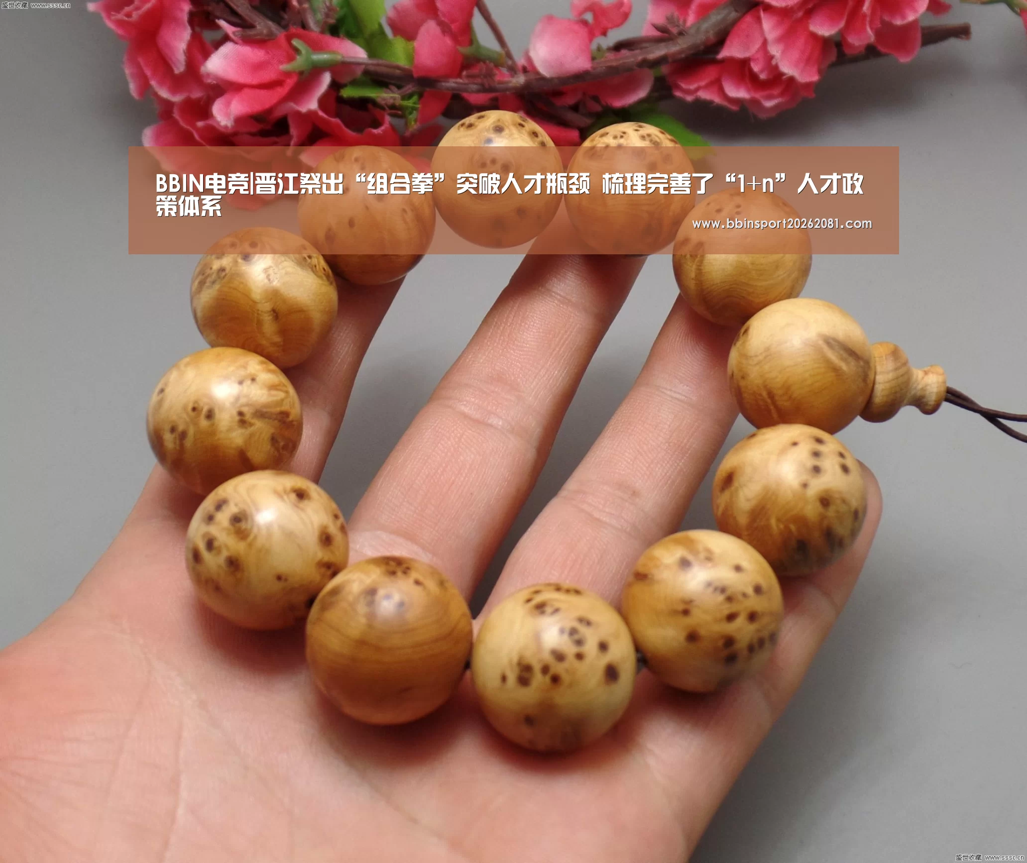 BBIN电竞|晋江祭出“组合拳”突破人才瓶颈 梳理完善了“1+n”人才政策体系(图1) BBIN百家乐