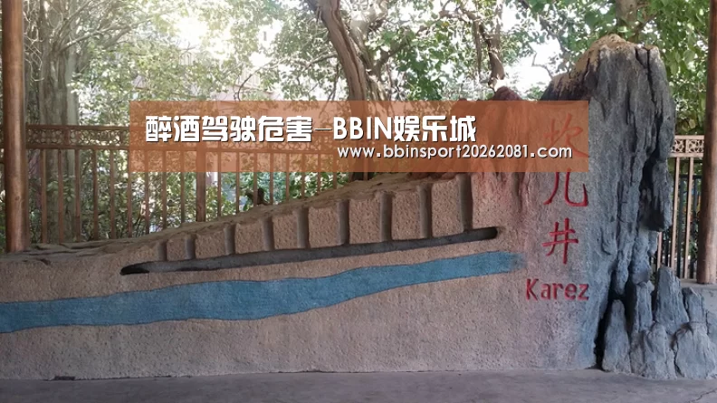 醉酒驾驶危害-BBIN娱乐城(图1) BBIN电竞