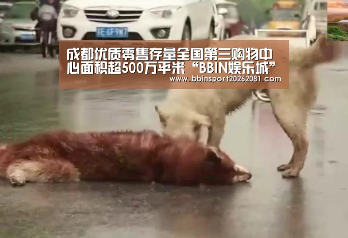 BBIN官网