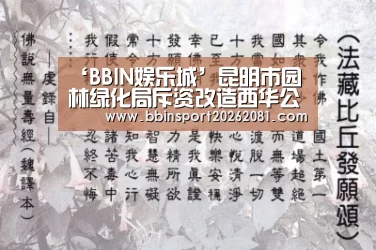 BBIN娱乐城
